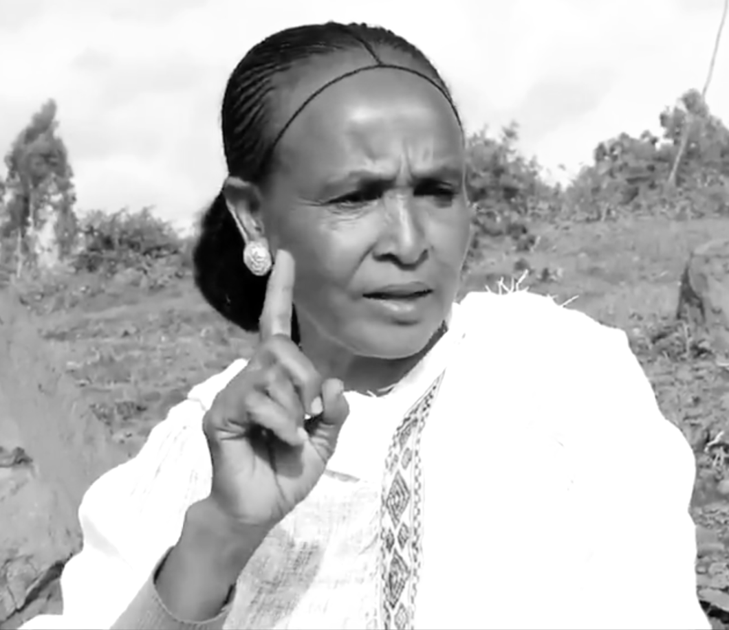 A Tigrayan woman speaks truth to lethal power: responding to Ethiopian elders in Mekelle | Tghat